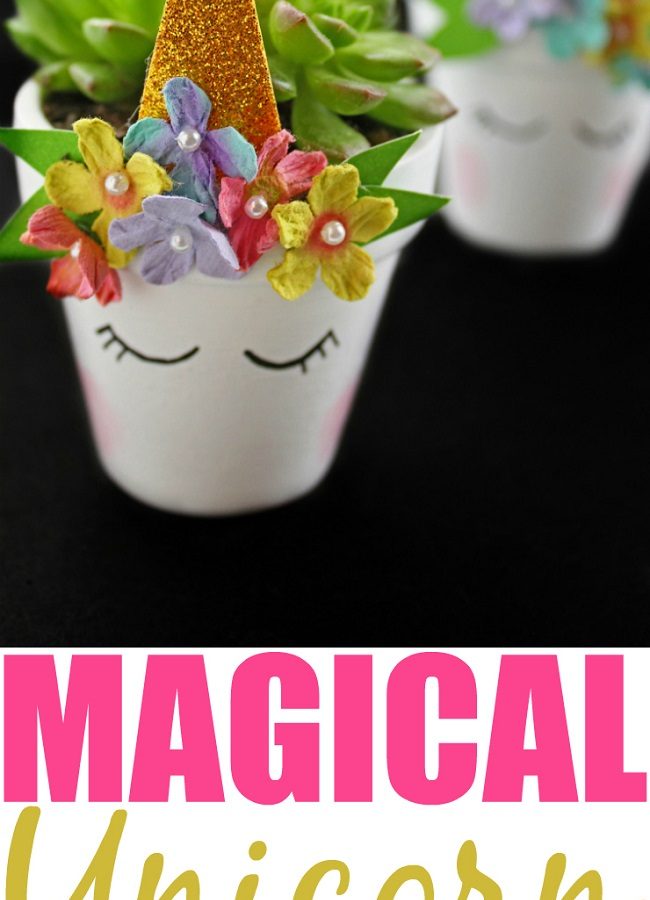 DIY Magical Unicorn Succulent Plant