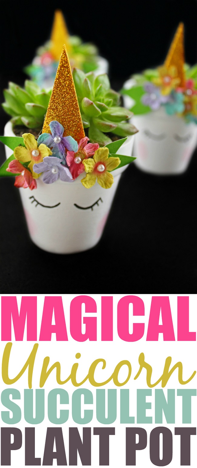 DIY Magical Unicorn Succulent Plant