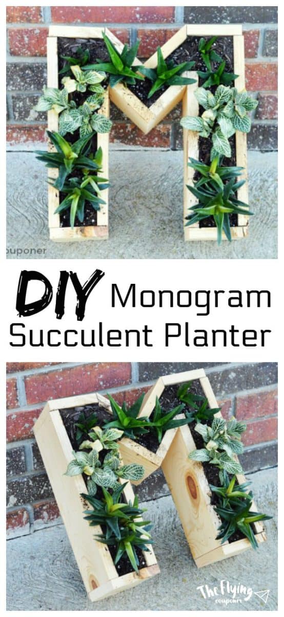 DIY Succulent Wall Hanging