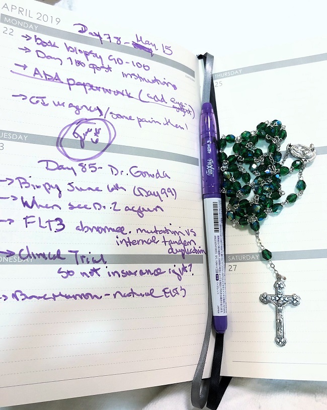 my medical notebook 100 days post stem cell transplant